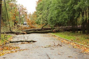 Wind-Damage-A-Major-Factor-For-Superstorm-Sandy-Victims-Image